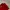 Polo Ralph Lauren Luxury Casual Polo Shirt Pria Red