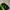 Polo Ralph Lauren Luxury Casual Polo shirt Pria green yellow photo 2