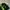 Polo Ralph Lauren Luxury Casual Polo Shirt Pria Green Yellow