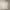 Polo Ralph Lauren Luxury Casual Polo Shirt Pria White
