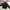 Champion Sportswear Track jacket Pria white black photo 3