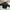 Champion Sportswear Track jacket Pria white black photo 2