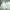 Burberry Luxury Harrington jacket Pria white photo 1