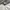 Burberry Luxury Harrington jacket Pria white photo 2