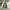 Burberry Luxury Harrington jacket Pria white photo 3