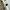 Burberry Luxury Harrington jacket Pria white photo 5
