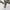 Burberry Luxury Harrington jacket Pria white photo 4