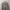 National Geographic Casual Sweatshirt Pria tan photo 1