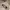 National Geographic Casual Sweatshirt Pria tan photo 3