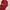 Nike Streetwear Sportswear Hat Pria Red