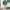 8seconds Minimalist Sweater Pria green photo 1