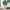 8seconds Minimalist Sweater Pria Green