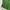 8seconds Minimalist Sweater Pria green photo 4