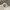Frank Stone Casual Sweatshirt Pria white photo 2