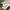 Dickies Streetwear Casual Pria khaki photo 4