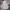 Guess Vintage Hoody Pria gray photo 2