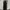Nike Y2K Sportswear Tracksuit Pria black photo 5