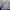 Vintage Crop top Wanita purple photo 1