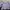 Vintage Crop Top Wanita Purple