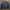 Schott NYC Streetwear Casual Bomber jacket Pria black photo 5