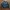 Schott NYC Streetwear Casual Bomber jacket Pria black photo 1
