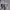 Reebok Avant Garde Pria white blue photo 3