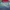 Longchamp Y2K Casual Crossbody Bag Wanita green navy photo 4