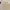 Sportswear Hat Pria tan cream photo 5