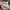 Streetwear Casual Windbreaker Pria multicolor photo 4