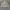 Streetwear Casual Windbreaker Pria multicolor photo 6