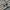 Streetwear Casual Windbreaker Pria multicolor photo 7