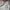 Adidas Minimalist Casual Sweater Pria gray photo 5