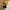 Samsonite Minimalist Casual Tas dompet Wanita black yellow photo 1
