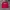 Dickies Luxury Sweater Pria red photo 2