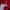Dickies Luxury Sweater Pria red photo 5