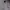Polo Ralph Lauren Luxury Cardigan Pria multicolor gray photo 2