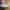 VANS Minimalist Sneakers Pria white photo 4