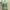 Vintage Casual Sweatshirt Wanita green photo 1