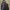 Vintage Sportswear Duffel bags & Holdall Wanita tan brown photo 2