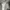 Adidas Luxury Casual Sweater Wanita gray photo 3