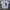 Made in USA Vintage Streetwear T-shirt Pria white photo 1