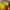 Adidas Luxury Casual Jumper Pria orange yellow photo 3