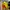 Adidas Luxury Casual Jumper Pria orange yellow photo 1