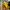 Adidas Luxury Casual Jumper Pria Orange Yellow