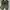 Nike Streetwear Sportswear Pria green gray photo 3