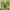Nike Streetwear Sportswear Pria green gray photo 2