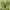 Nike Streetwear Sportswear Pria Green Gray