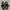Nike Streetwear Sportswear Pria green gray photo 4