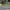 Nike Streetwear Sportswear Pria green gray photo 1