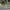 Nike Streetwear Sportswear Pria Green Gray